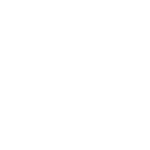 DIGITAL ALIGNER